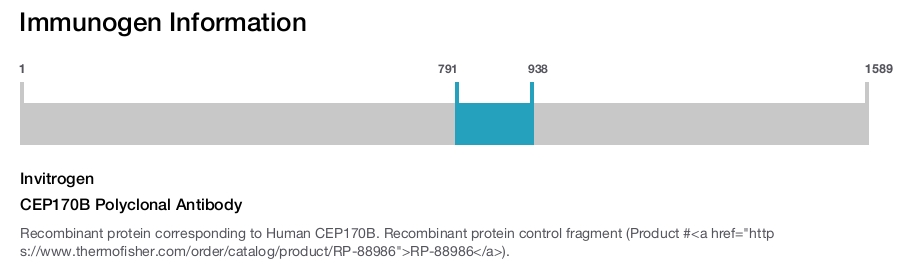 CEP170B Polyclonal Antibody