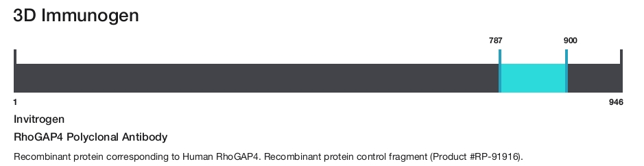 RhoGAP4 Polyclonal Antibody