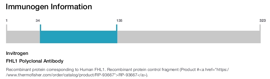 FHL1 Polyclonal Antibody