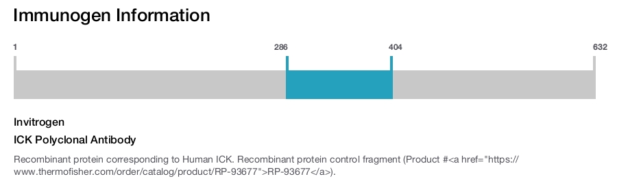 ICK Polyclonal Antibody