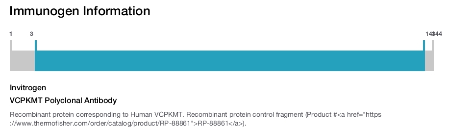 VCPKMT Polyclonal Antibody