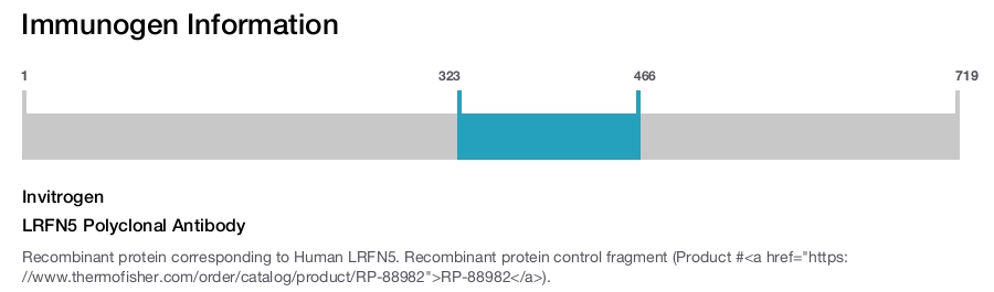 LRFN5 Polyclonal Antibody