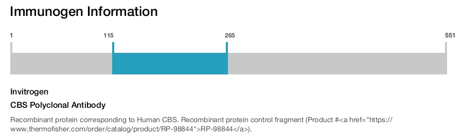 CBS Polyclonal Antibody