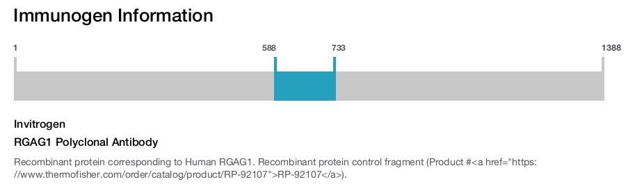 RGAG1 Polyclonal Antibody