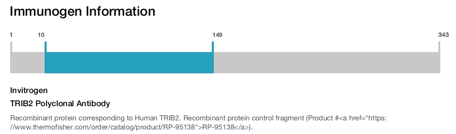 TRIB2 Polyclonal Antibody