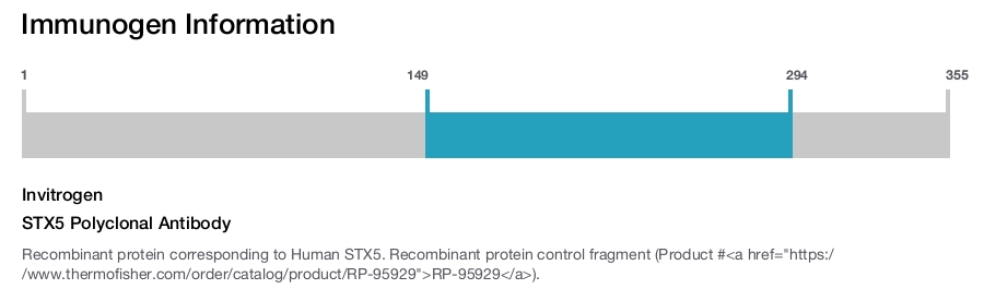 STX5 Polyclonal Antibody