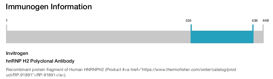 hnRNP H2 Polyclonal Antibody