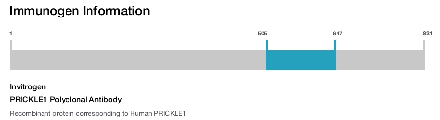 PRICKLE1 Polyclonal Antibody