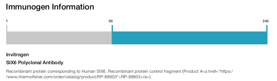 SIX6 Polyclonal Antibody