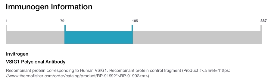 VSIG1 Polyclonal Antibody