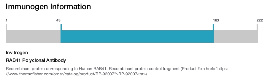 RAB41 Polyclonal Antibody