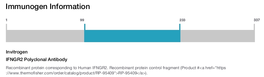 IFNGR2 Polyclonal Antibody