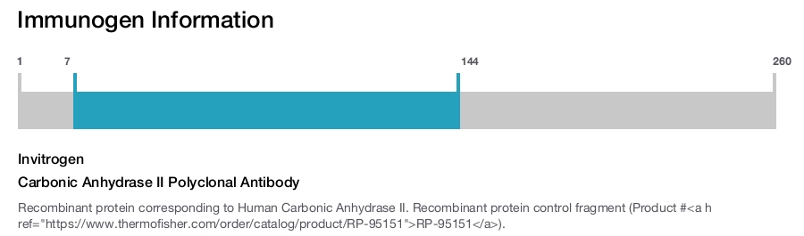 Carbonic Anhydrase II Polyclonal Antibody