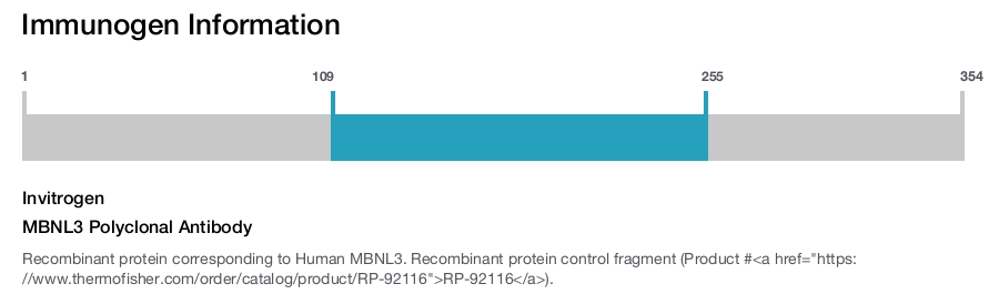 MBNL3 Polyclonal Antibody