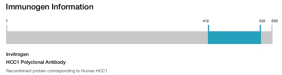 HCC1 Polyclonal Antibody