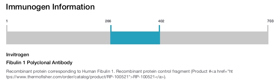 Fibulin 1 Polyclonal Antibody