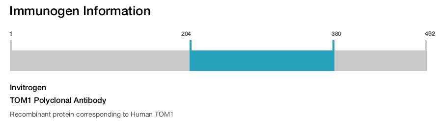 TOM1 Polyclonal Antibody