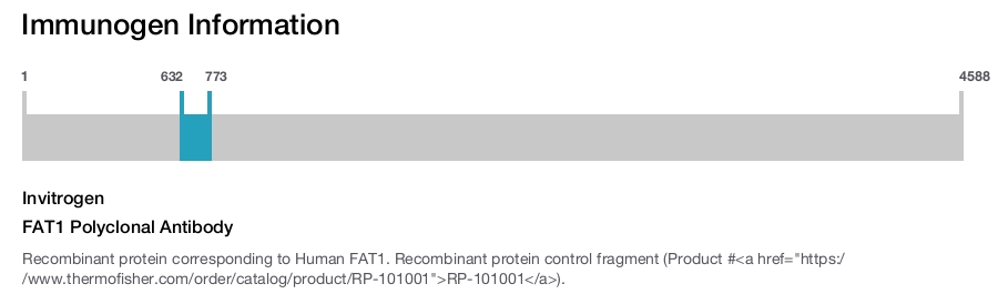 FAT1 Polyclonal Antibody