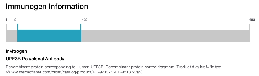 UPF3B Polyclonal Antibody