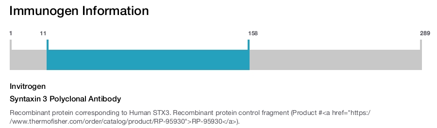 Syntaxin 3 Polyclonal Antibody