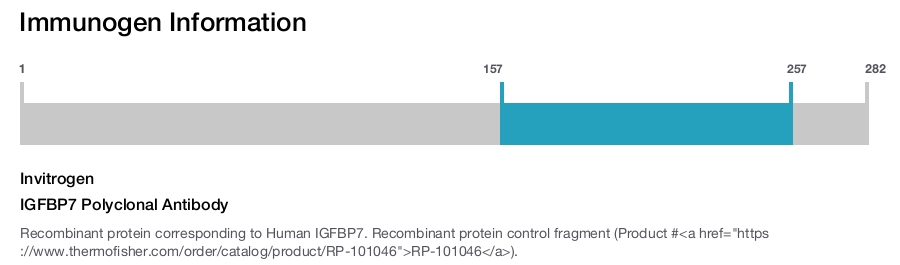 IGFBP7 Polyclonal Antibody