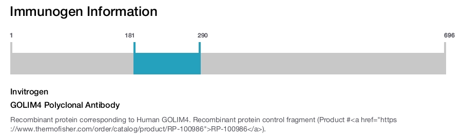 GOLIM4 Polyclonal Antibody