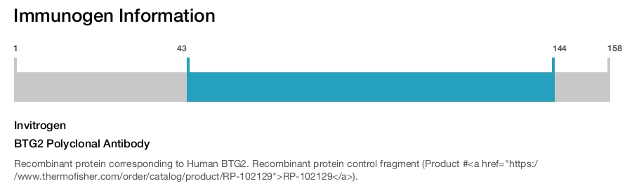 BTG2 Polyclonal Antibody