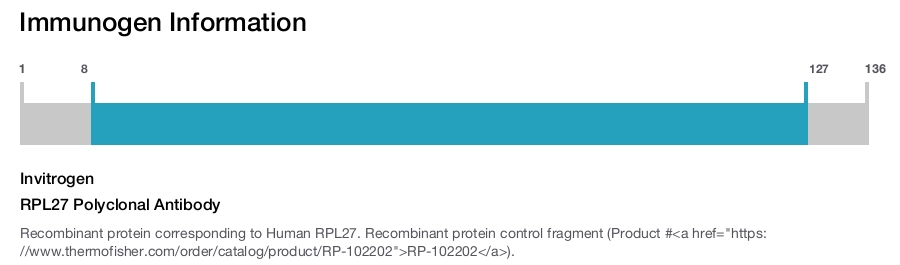 RPL27 Polyclonal Antibody