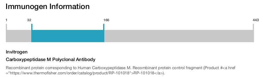 Carboxypeptidase M Polyclonal Antibody