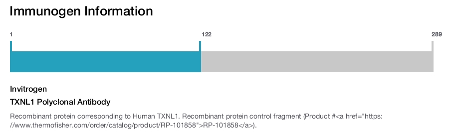 TXNL1 Polyclonal Antibody