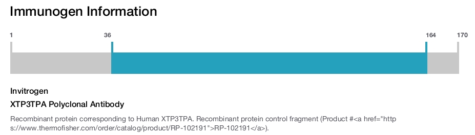 XTP3TPA Polyclonal Antibody