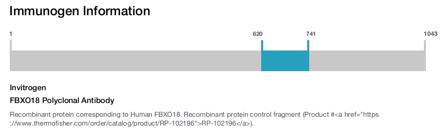FBXO18 Polyclonal Antibody