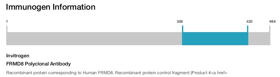 FRMD8 Polyclonal Antibody
