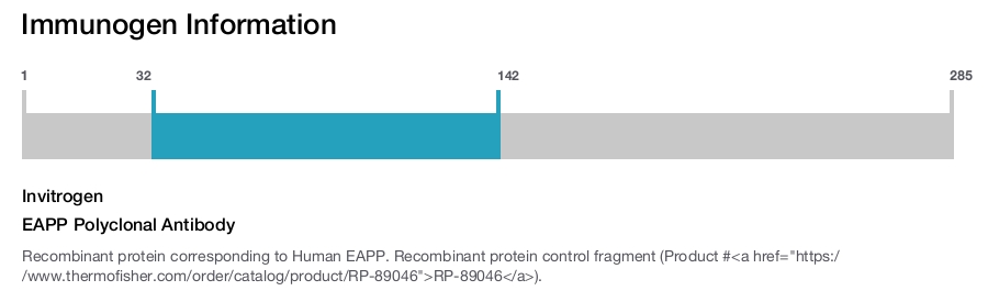 EAPP Polyclonal Antibody