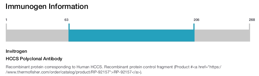 HCCS Polyclonal Antibody