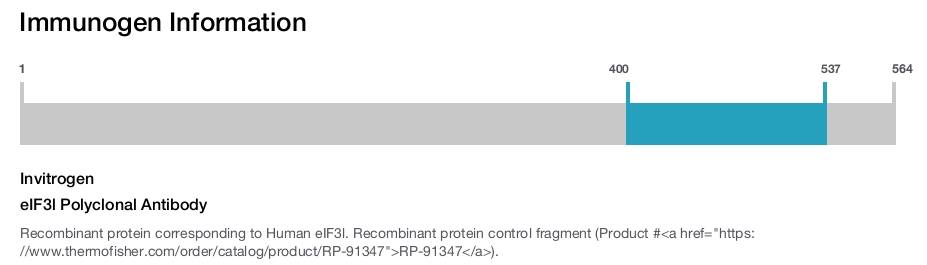 eIF3l Polyclonal Antibody