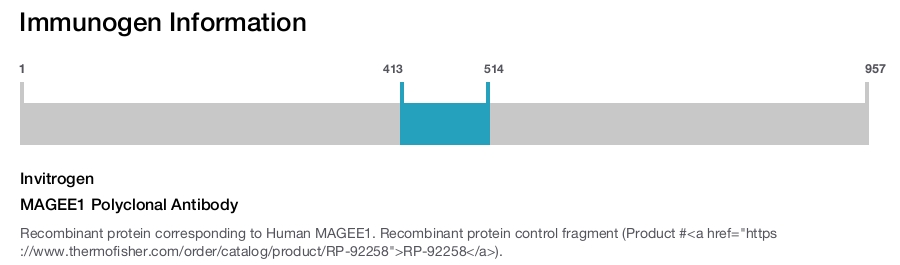MAGEE1 Polyclonal Antibody