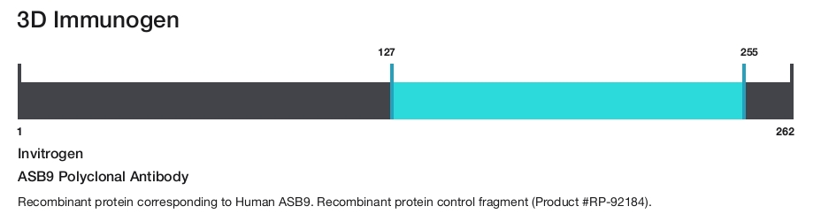 ASB9 Polyclonal Antibody
