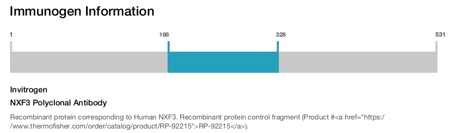 NXF3 Polyclonal Antibody