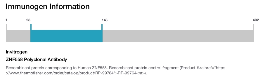ZNF558 Polyclonal Antibody