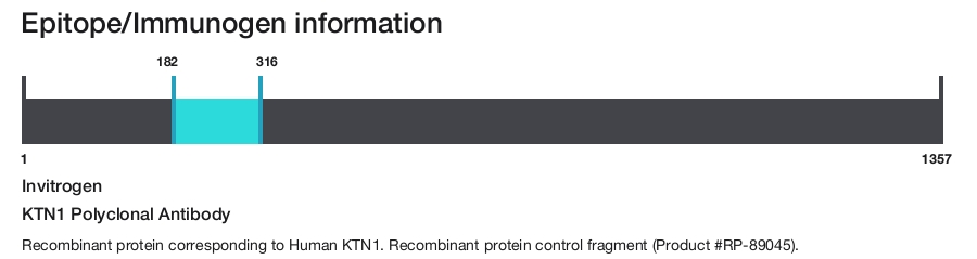 KTN1 Polyclonal Antibody