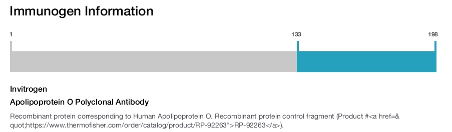 Apolipoprotein O Polyclonal Antibody