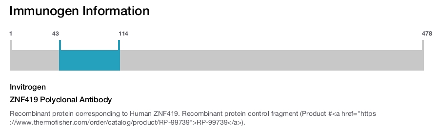 ZNF419 Polyclonal Antibody