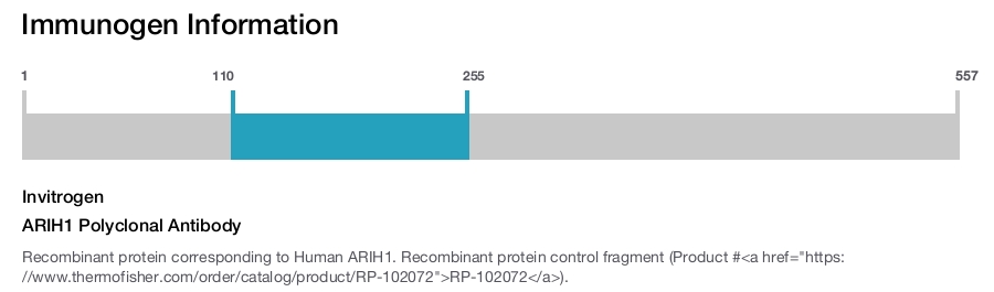 ARIH1 Polyclonal Antibody