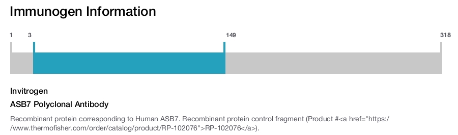 ASB7 Polyclonal Antibody