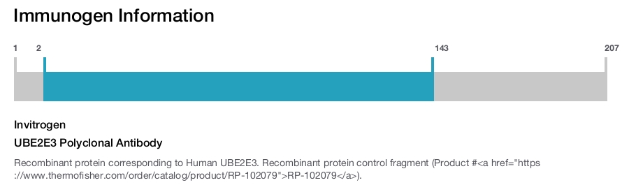 UBE2E3 Polyclonal Antibody