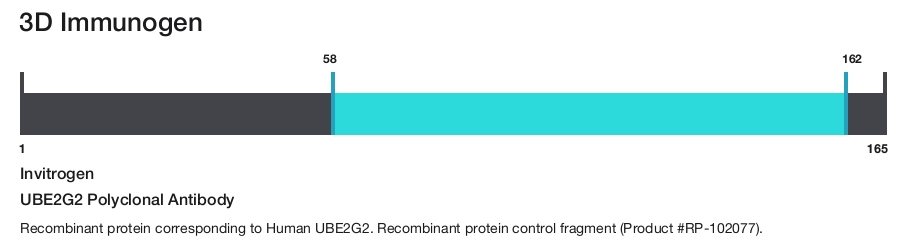 UBE2G2 Polyclonal Antibody