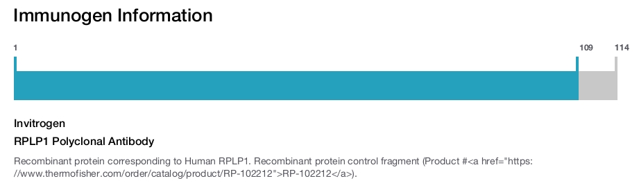 RPLP1 Polyclonal Antibody
