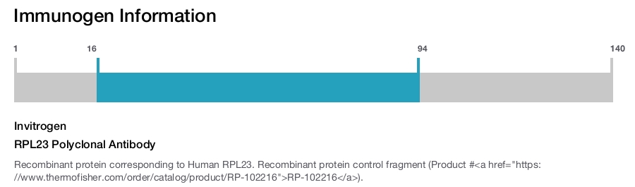 RPL23 Polyclonal Antibody
