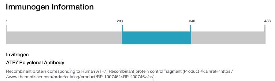 ATF7 Polyclonal Antibody
